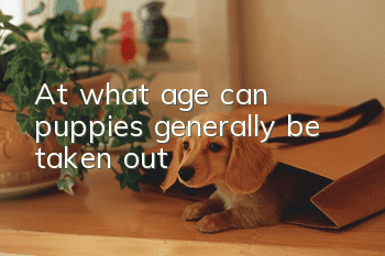 At what age can puppies generally be taken out?