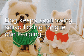 Dog keeps swallowing saliva, licking tongue and burping