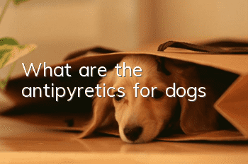 What are the antipyretics for dogs?