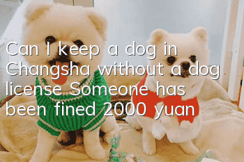 Can I keep a dog in Changsha without a dog license? Someone has been fined 2,000 yuan