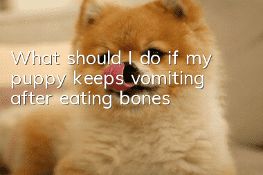 What should I do if my puppy keeps vomiting after eating bones?