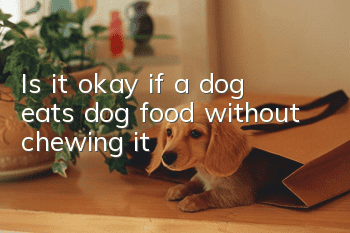 Is it okay if a dog eats dog food without chewing it?