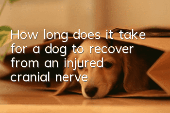 How long does it take for a dog to recover from an injured cranial nerve?