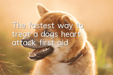 The fastest way to treat a dog’s heart attack first aid