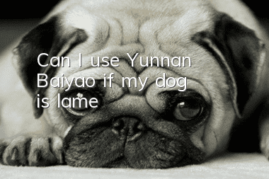 Can I use Yunnan Baiyao if my dog is lame?