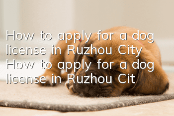 How to apply for a dog license in Ruzhou City How to apply for a dog license in Ruzhou City