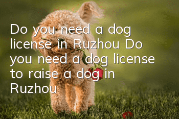 Do you need a dog license in Ruzhou? Do you need a dog license to raise a dog in Ruzhou?