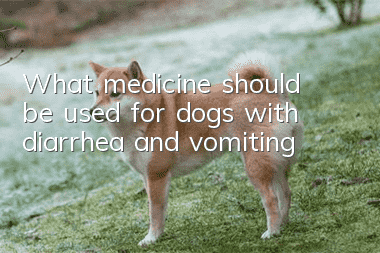 What medicine should be used for dogs with diarrhea and vomiting?