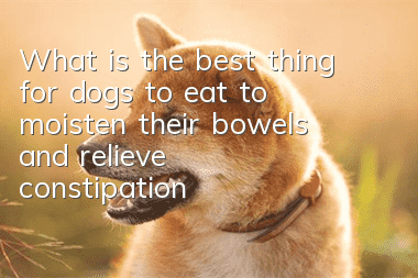 What is the best thing for dogs to eat to moisten their bowels and relieve constipation?