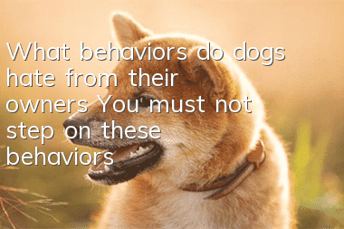 What behaviors do dogs hate from their owners? You must not step on these behaviors!
