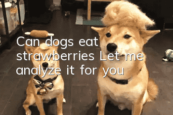 Can dogs eat strawberries? Let me analyze it for you!