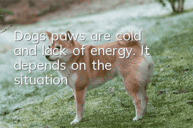 Dog’s paws are cold and lack of energy. It depends on the situation!