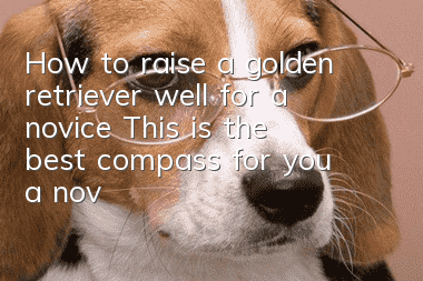 How to raise a golden retriever well for a novice? This is the best compass for you, a novice dog breeder!