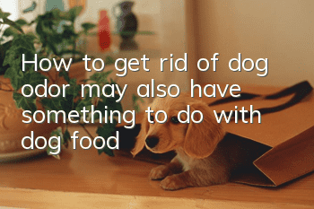 How to get rid of dog odor may also have something to do with dog food!