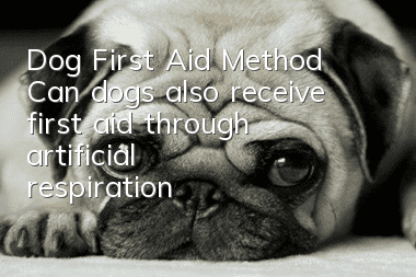 Dog First Aid Method Can dogs also receive first aid through artificial respiration?