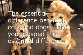 The essential difference between cats and dogs. Have you grasped this essential difference?