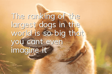 The ranking of the largest dogs in the world is so big that you can’t even imagine it!