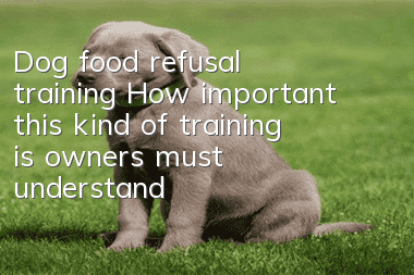 Dog food refusal training How important this kind of training is, owners must understand!