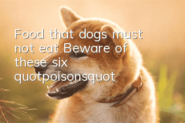 Food that dogs must not eat! Beware of these six "poisons"!