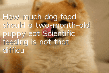 How much dog food should a two-month-old puppy eat? Scientific feeding is not that difficult!