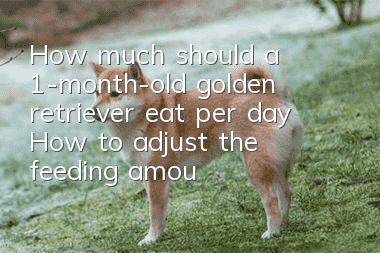 How much should a 1-month-old golden retriever eat per day? How to adjust the feeding amount?