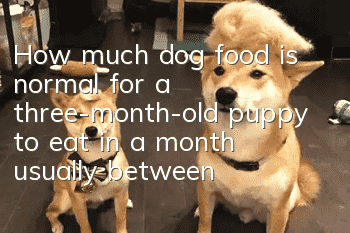 How much dog food is normal for a three-month-old puppy to eat in a month, usually between 10-30kg!