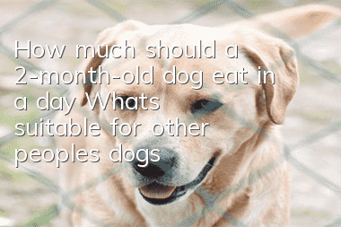 How much should a 2-month-old dog eat in a day? What’s suitable for other people’s dogs may not be suitable for yours.