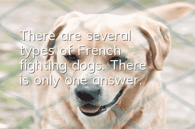 There are several types of French fighting dogs. There is only one answer.