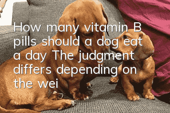 How many vitamin B pills should a dog eat a day? The judgment differs depending on the weight!