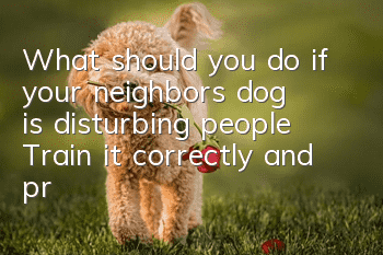 What should you do if your neighbor’s dog is disturbing people? Train it correctly and protect your own rights.