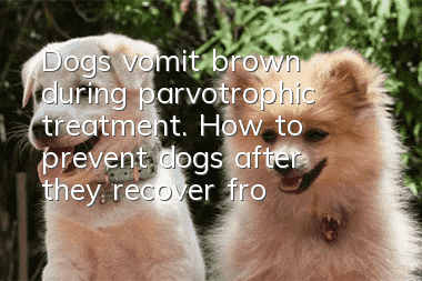 Dogs vomit brown during parvotrophic treatment. How to prevent dogs after they recover from parvovirus