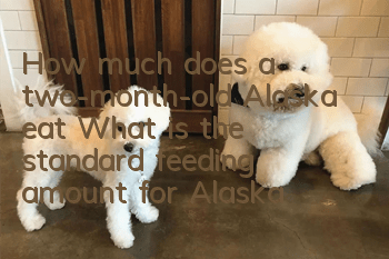 How much does a two-month-old Alaska eat? What is the standard feeding amount for Alaska?