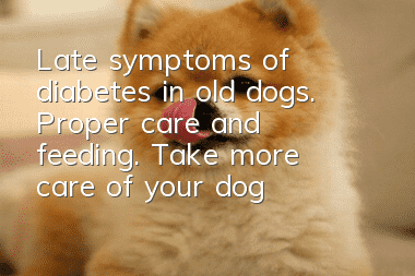Late symptoms of diabetes in old dogs. Proper care and feeding. Take more care of your dog.