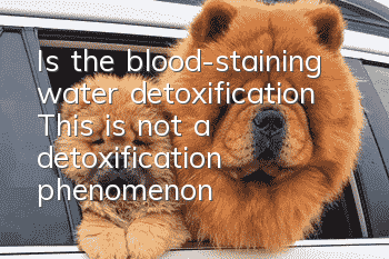 Is the blood-staining water detoxification? This is not a detoxification phenomenon!
