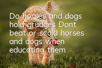 Do horses and dogs hold grudges? Don’t beat or scold horses and dogs when educating them!