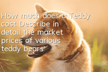 How much does a Teddy cost? Describe in detail the market prices of various teddy bears