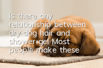 Is there any relationship between dry dog hair and shower gel? Most people make these care misunderstandings