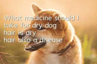 What medicine should I take for dry dog hair? Is dry hair also a disease?