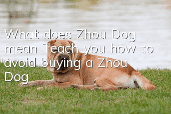 What does Zhou Dog mean? Teach you how to avoid buying a Zhou Dog