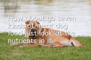 How about go seven kinds of meat dog food? Just look at the nutrients in it.
