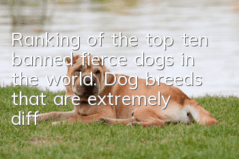 Ranking of the top ten banned fierce dogs in the world. Dog breeds that are extremely difficult to tame.