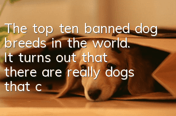 The top ten banned dog breeds in the world. It turns out that there are really dogs that can eat people!