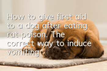 How to give first aid to a dog after eating rat poison. The correct way to induce vomiting.get