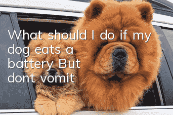 What should I do if my dog eats a battery? But don't vomit!