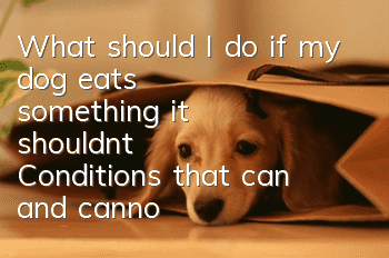 What should I do if my dog ​​eats something it shouldn’t? Conditions that can and cannot induce vomiting