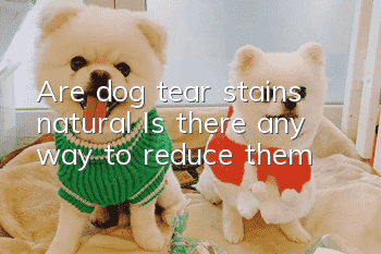 Are dog tear stains natural? Is there any way to reduce them?