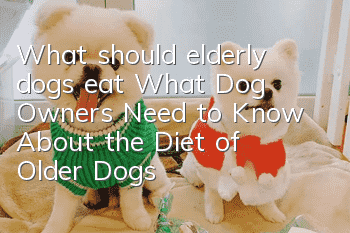 What should elderly dogs eat? What Dog Owners Need to Know About the Diet of Older Dogs