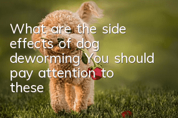 What are the side effects of dog deworming? You should pay attention to these!