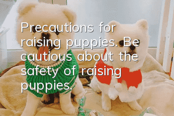 Precautions for raising puppies. Be cautious about the safety of raising puppies.