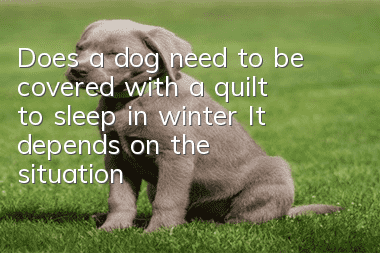 Does a dog need to be covered with a quilt to sleep in winter? It depends on the situation!